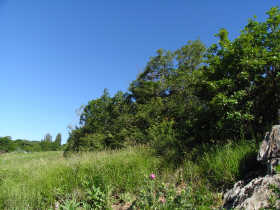Terrain - La B�tie-Neuve - Terrain