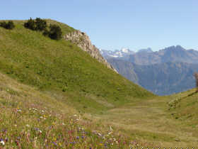 Appartement - CHAMPSAUR - LAYE STATION