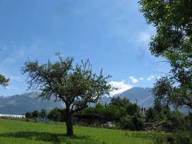 Maison - champsaur - CHAMPSAUR,8kms SAINT BONNET